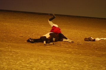Bild 54 - Hansepferd Gala am 18.4.10